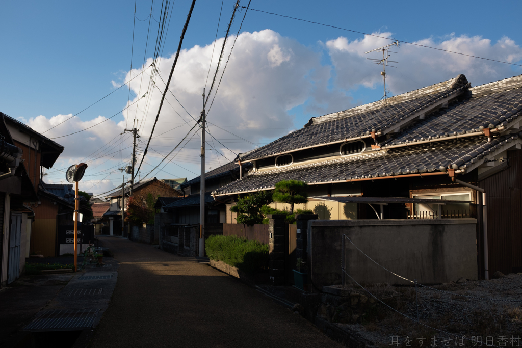 桜井市　山辺の道