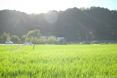 明日香村 大字飛鳥 明日香村 大字飛鳥
