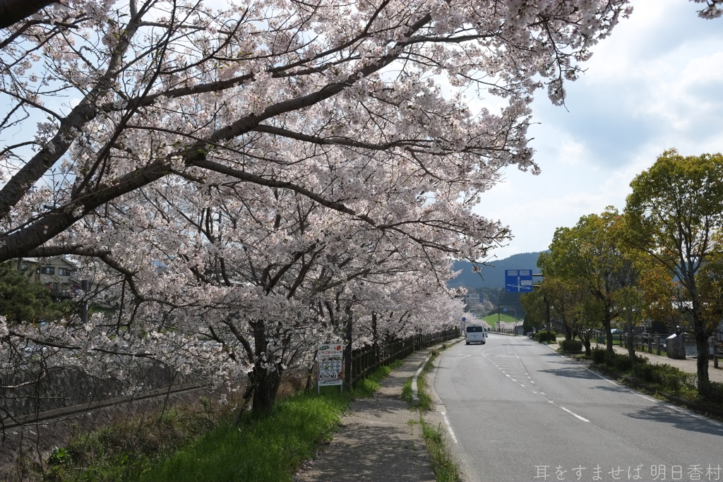 明日香村　大字御園