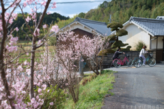 明日香村　大字立部