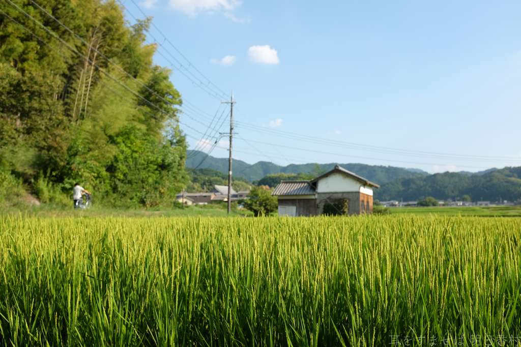 明日香村　大字飛鳥