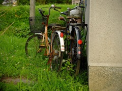 明日香村 阪田