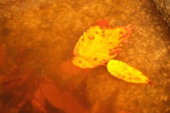 明日香村 大字檜前( 檜前寺跡 ) 明日香村 大字檜前( 檜前寺跡 )