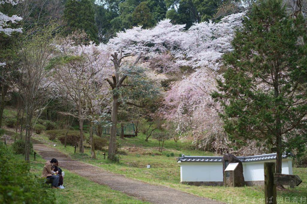 奈良県橿原市　万葉の森