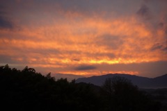 明日香村 大字岡 明日香村 大字岡