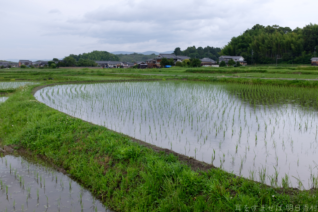 明日香村　大字岡