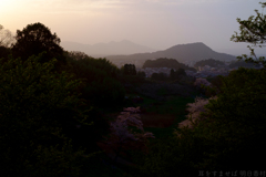 明日香村　大字豊浦（ 国営飛鳥歴史公園甘樫丘地区 ）