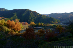 明日香村　大字稲渕