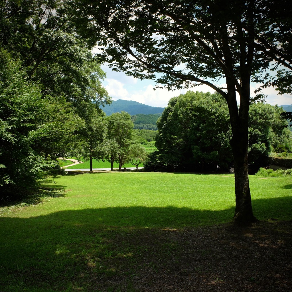 明日香村 豊浦 （ 甘樫丘 ）