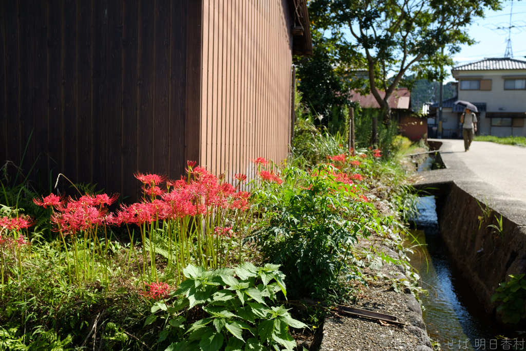 明日香村　大字岡