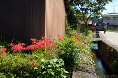 明日香村　大字岡