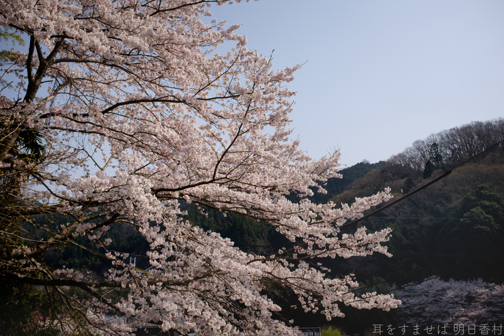 明日香村　大字稲渕
