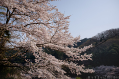明日香村 大字稲渕 明日香村 大字稲渕