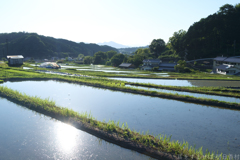 明日香村 大字阪田 明日香村 大字阪田