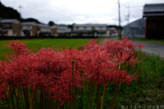 明日香村　大字平田