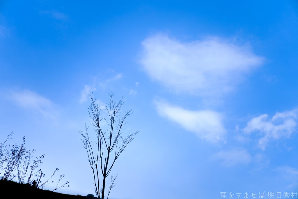 明日香村　大字阿部山