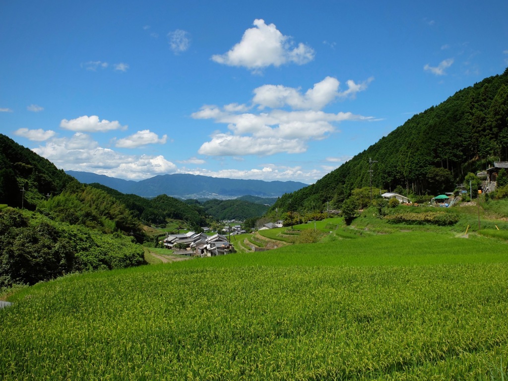 明日香村 尾曽（ おおそ ）