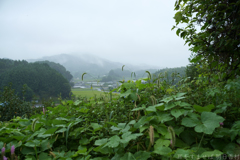 明日香村 大字野口 明日香村 大字野口