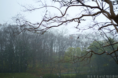 明日香村 大字平田