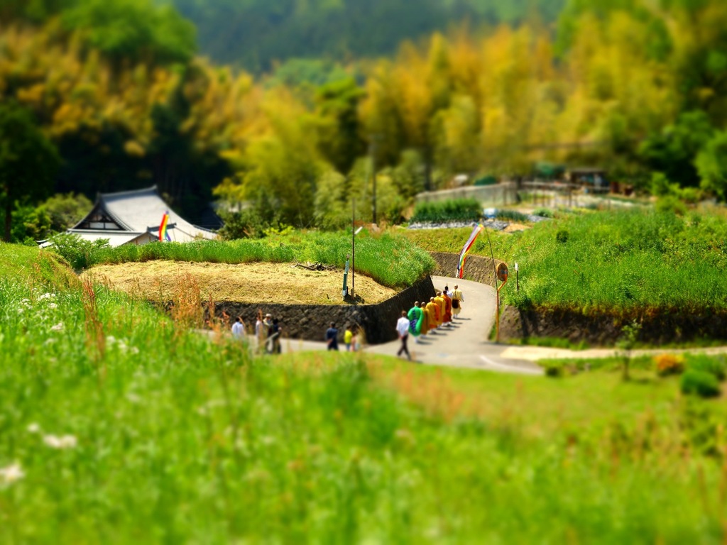 明日香村 岡（ 岡本寺 ） 