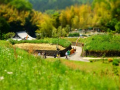 明日香村 岡（ 岡本寺 ） 