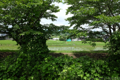 明日香村　大字平田