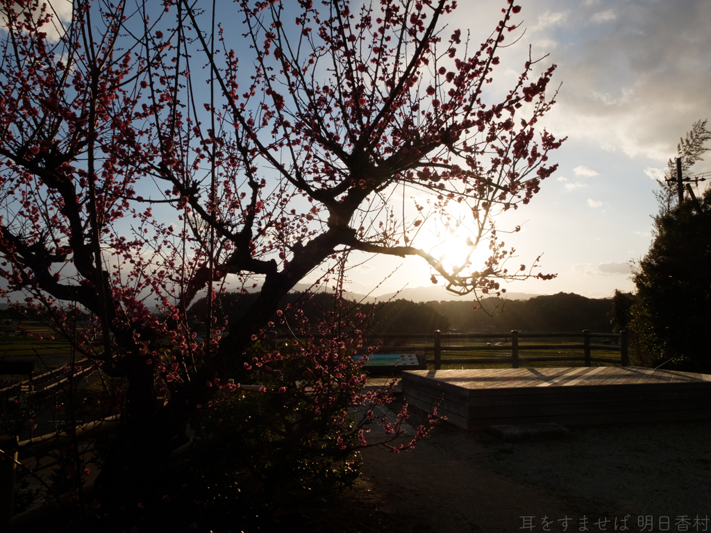 明日香村　大字飛鳥