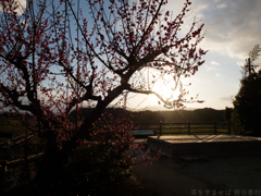 明日香村 大字飛鳥 明日香村 大字飛鳥