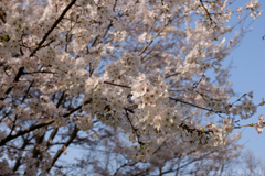 明日香村 大字稲渕 明日香村 大字稲渕