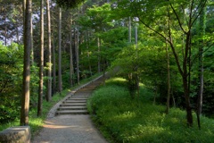 明日香村 大字豊浦 甘樫丘 明日香村 大字豊浦 甘樫丘