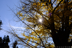 奈良県桜井市　素盞雄神社