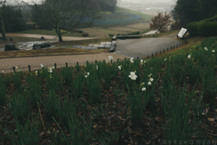 明日香村　大字平田（ 国営飛鳥歴史公園　高松塚周辺地区 ）