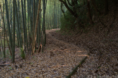 明日香村　大字島庄