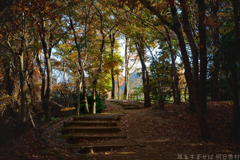 明日香村 大字平田( 国営飛鳥歴史公園 高松塚周辺地区 ) 明日香村 大字平田( 国営飛鳥歴史公園 高松塚周辺地区 )