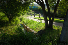明日香村　大字平田（ 国営飛鳥歴史公園 高松塚周辺地区 ）