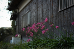 明日香村　大字川原