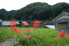 明日香村　大字稲渕