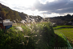 明日香村　大字阪田