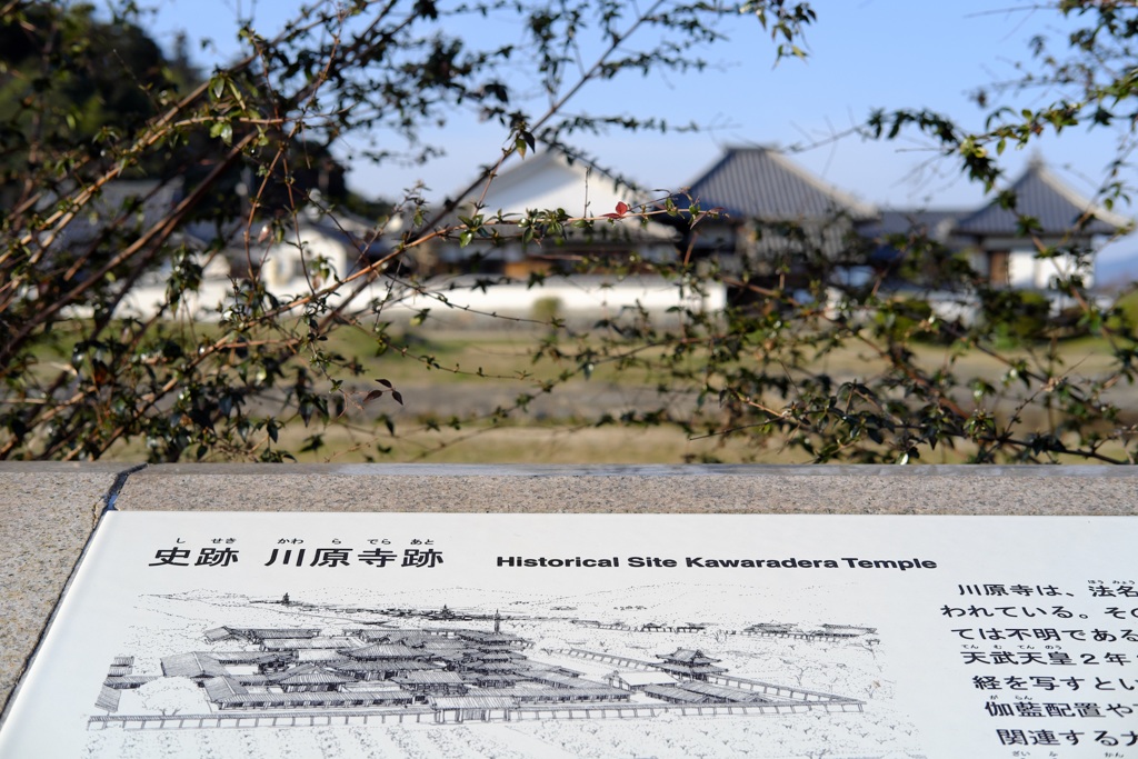 明日香村　大字川原（ 川原寺跡 ）