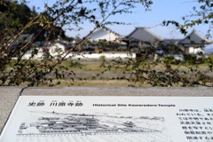 明日香村 大字川原( 川原寺跡 ) 明日香村 大字川原( 川原寺跡 )