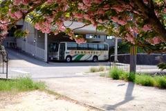 明日香村 大字橘 明日香村 大字橘