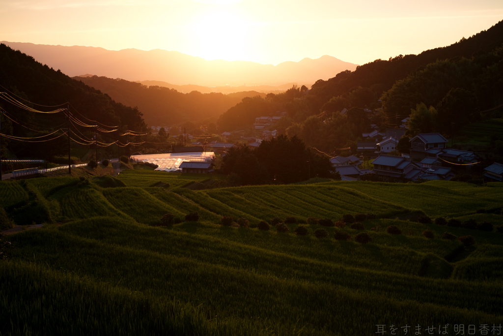 明日香村　大字細川