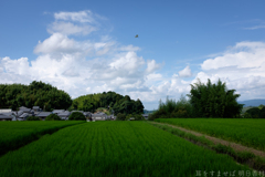 明日香村　大字橘