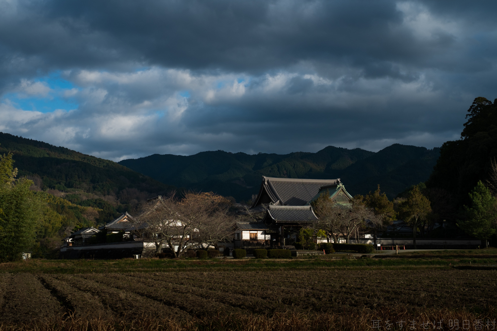 明日香村　大字橘