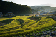 明日香村　大字野口