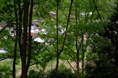 明日香村 大字大根田 明日香村 大字大根田