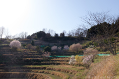 明日香村　大字稲渕