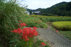明日香村　大字稲渕