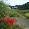 明日香村　大字稲渕