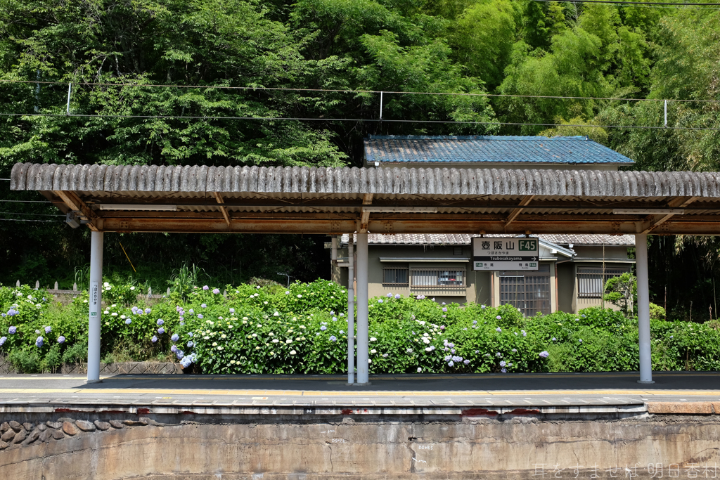 奈良県高市郡高取町　近鉄吉野線　壺阪山駅